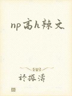 np高h辣文封面