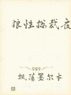 狼性总裁夜欢宠