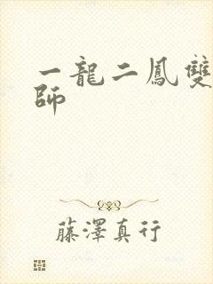 一龙二凤双飞老师