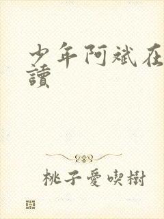 少年阿斌在线阅读