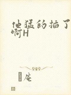 他猛的插了进去啊H