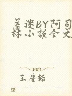 着迷BY阿司匹林小说全文免费阅读