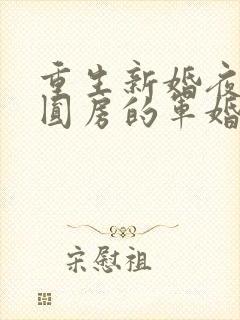 重生新婚夜正在圆房的军婚