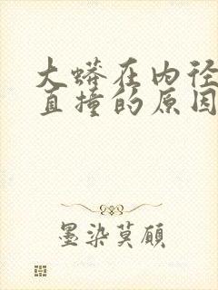 大蟒在内径横冲直撞的原因封面