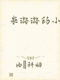 米璐璐的小说封面