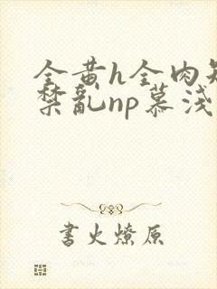 全黄h全肉短篇禁乱np慕浅浅