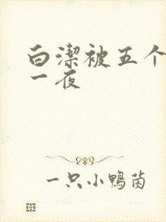 白洁被五个人玩一夜