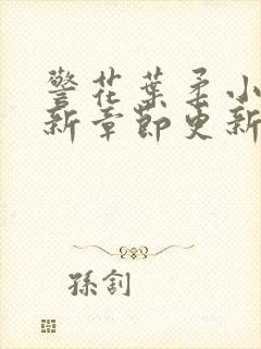 警花叶柔小说最新章节更新