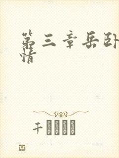 第三章岳卧室激情