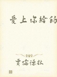 爱上你给的痛封面