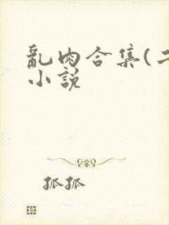 乱肉合集(二)小说