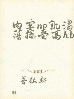 肉宴np饥渴放荡总受高hbl封面