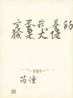 完蛋我养的小白脸是大佬