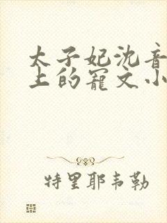 太子妃沈音和皇上的宠文小说