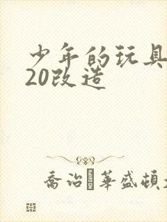 少年的玩具1一20改造