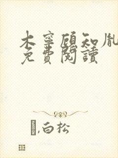 木宁顾知胤小说免费阅读