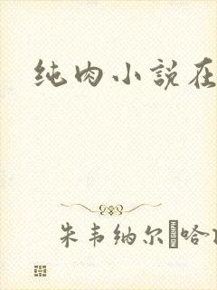 纯肉小说在线