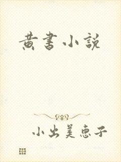 黄书小说