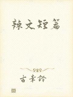 辣文短篇封面