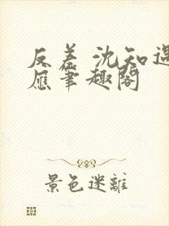 反差 沈知遇晏应笔趣阁