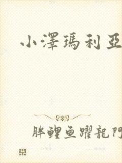 小泽玛利亚作品封面