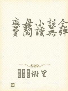 恋母小说全文免费阅读无弹窗笔趣阁