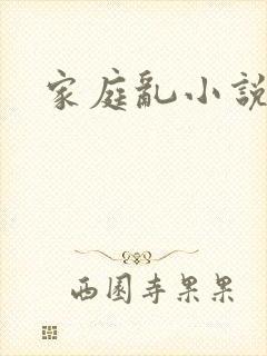 家庭乱小说