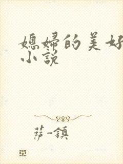 媳妇的美好时代小说封面