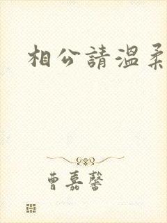 相公请温柔一点封面