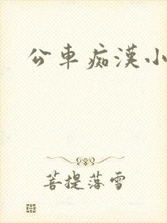 公车痴汉小说