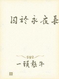 囚于永夜长佩封面