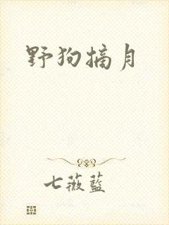 野狗摘月