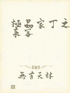 极品家丁之远方来客