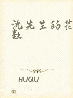 沈先生的花式调数