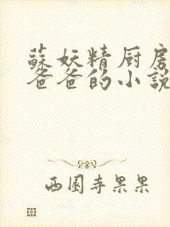 苏妖精厨房爹爹爸爸的小说