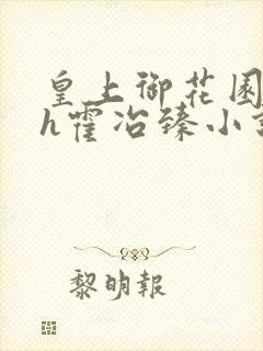 皇上御花园hlh霍冶臻小说