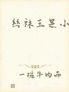 丝袜玉足小说封面