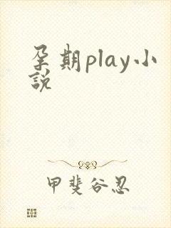 孕期play小说