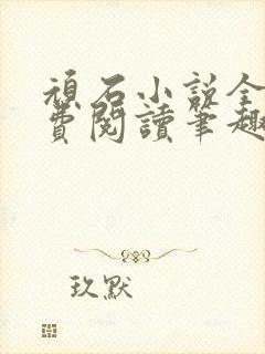 顽石小说全文免费阅读笔趣阁