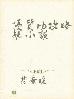 优质rb攻略系统小说