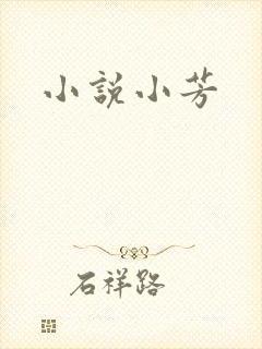 小说小芳封面