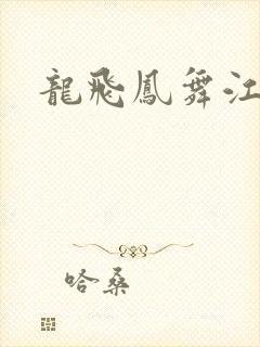 龙飞凤舞江一龙封面