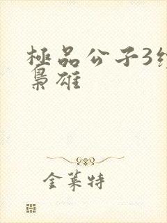 极品公子3续世枭雄