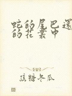 蛇的尾巴还在我的花丛中