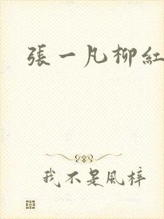 张一凡柳红