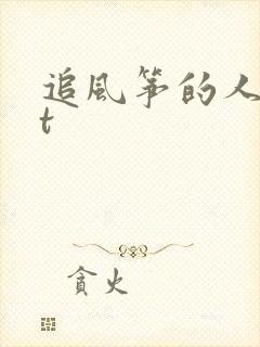 追风筝的人txt