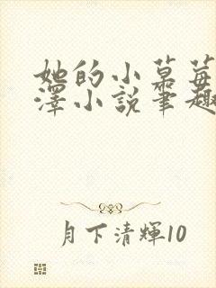 她的小草莓魏承泽小说笔趣阁封面