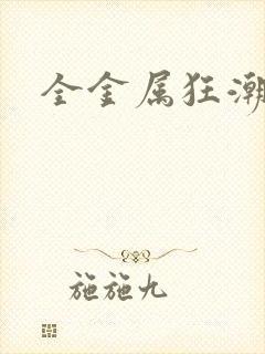 全金属狂潮小说