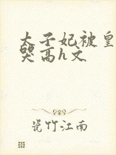 太子妃被皇上c哭高h文