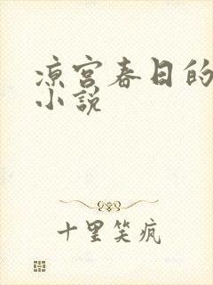 凉宫春日的忧郁小说封面